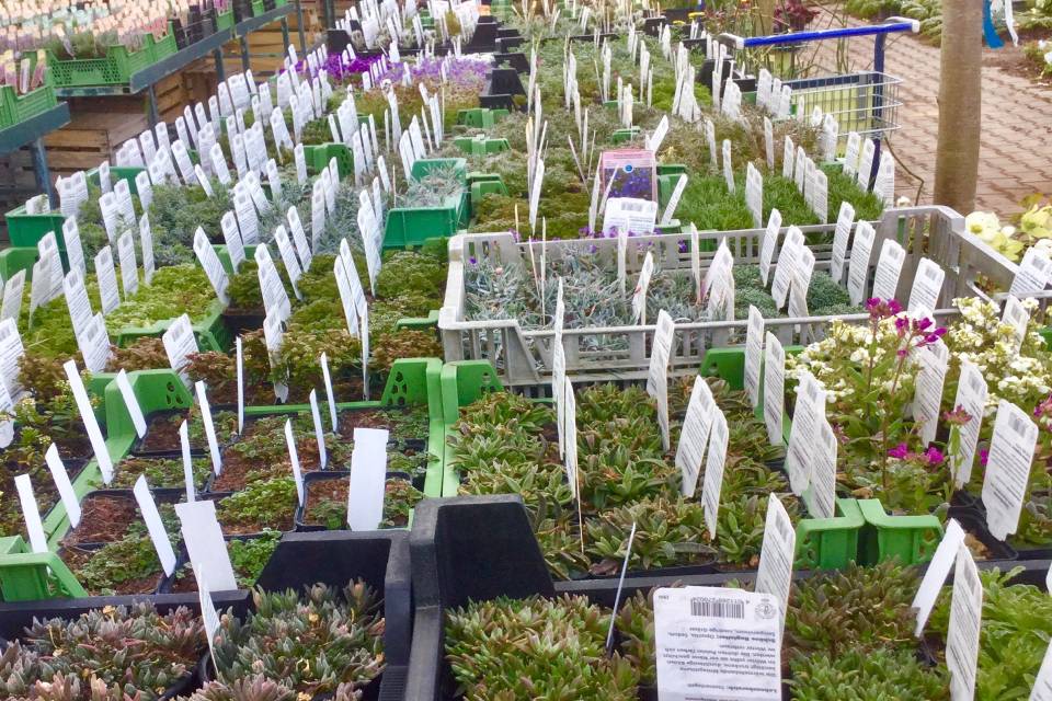 Baumschule+Reichelt+UG+haftungsbeschrnkt++-+Co.+KG.-004-1280w