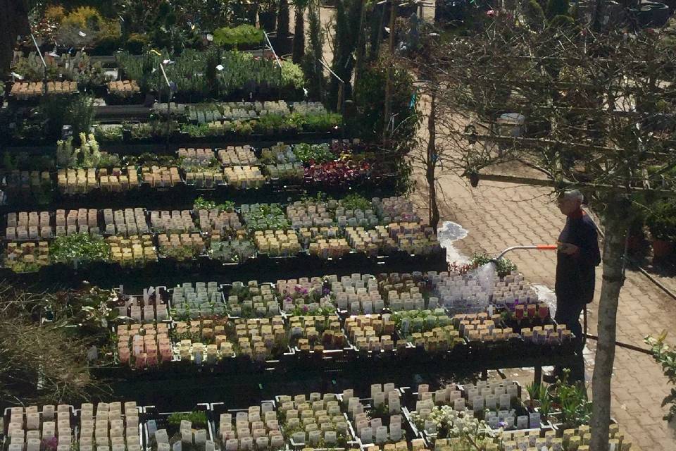 Baumschule+Reichelt+UG+haftungsbeschrnkt++-+Co.+KG.-007-1280w